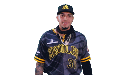 Aguilucho Aguilasrd Sticker by Águilas Cibaeñas