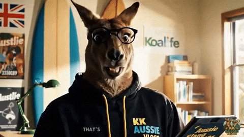 Oh No Kangaroo GIF