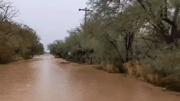 Car Drives Through Floodwaters as Arizona Governor Issues Declaration of Emergency