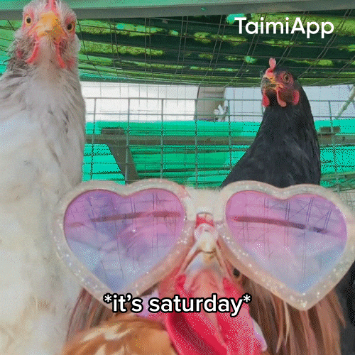 Vibing Its Saturday GIF by Taimi