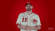 Baseball Mlb GIF by Cincinnati Reds
