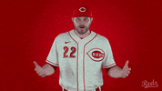 Baseball Mlb GIF by Cincinnati Reds