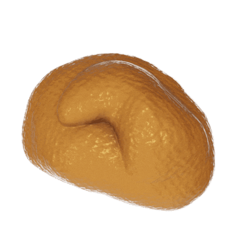 Fried Chicken 3D Sticker