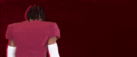 Football Roll Pards GIF by Lafayette Leopards