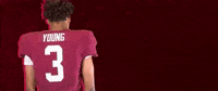 Football Roll Pards GIF by Lafayette Leopards