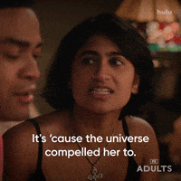 Nick Kroll Hulu GIF by Adults