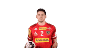 HandballAustria handball handball austria oehb alexander hermann Sticker