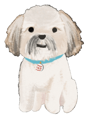 Shih Tzu Dog Sticker by breadcrumbsclub