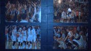 cnwb18 tori griffin GIF by Carson-Newman Athletics