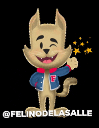 MIMSALLE miimsalle felinodelasalle felino mimuseo mim sallebjx GIF