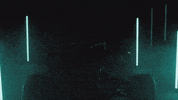 Lewis Hamilton Sport GIF by Mercedes-AMG Petronas Formula One Team