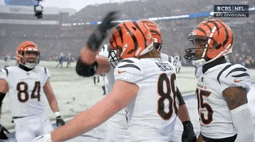 Nfl Playoffs Football GIF by NFL