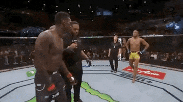 ufc fight night sport GIF by UFC