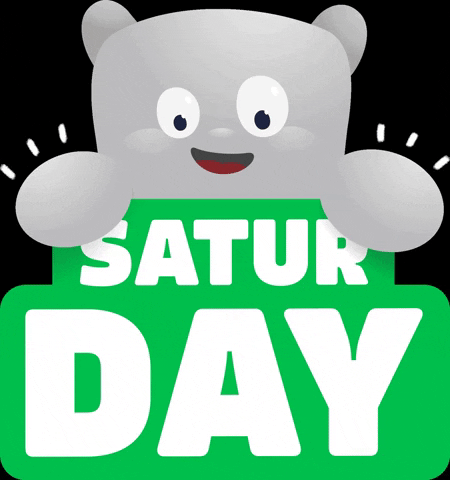 newportschool saturday sabado newportcito newport school GIF