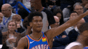 GIF by NBA