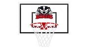 Basketball Boomer Sticker by Brock University