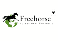 Freehorse horse horses cheval horse riding GIF