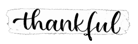 mariedibidi giphyupload happy thank you thankful Sticker