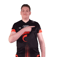 Pointing Fifa20 Sticker by STARK ESPORTS