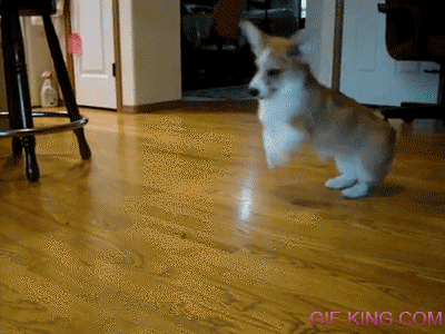 excited GIF