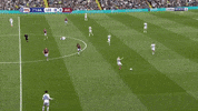 klich GIF by nss sports