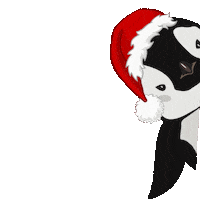 elistorycriativo christmas xmas natal elistorycriativo pinguim de natal Sticker