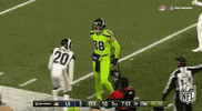 Excited Seattle Seahawks GIF by NFL