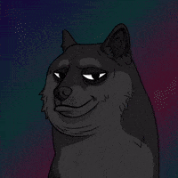 Judging Shiba Inu GIF by Doge Pound