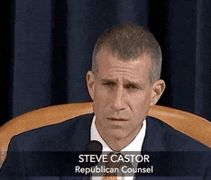 news impeachment impeachment inquiry steve castor GIF