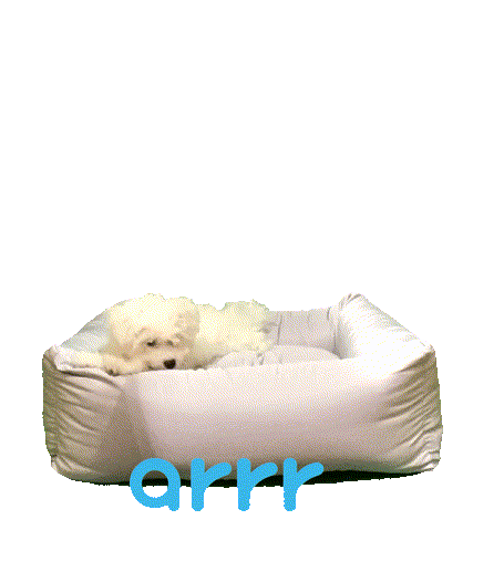 아르르 Sticker by arrr_official