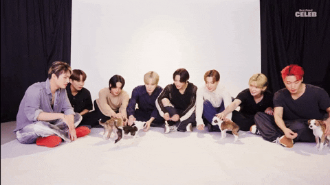 Puppy Puppies GIF by BuzzFeed