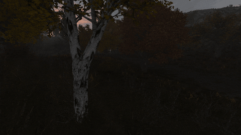 Barrybogs giphyupload GIF