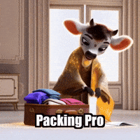 Travel Packing GIF by Moosiahzen