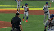 New York Mets Sport GIF by MLB