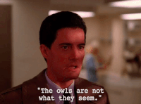 season 2 episode 3 GIF by Twin Peaks on Showtime