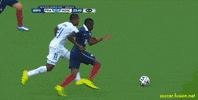 france brazil GIF by Fusion