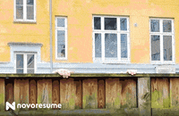novoresume hello nice congratulations peek GIF