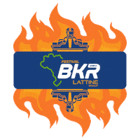 Kart Amika Sticker by amika.kart