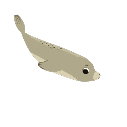 Sleepy Owl Sticker by Puffin Rock