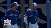 Talking Blue Jays GIF by Toronto Blue Jays