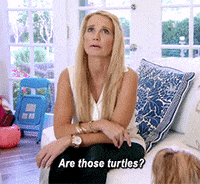 real housewives television GIF by RealityTVGIFs