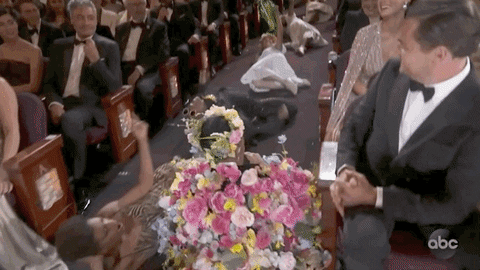 Janelle Monae Oscars GIF by The Academy Awards