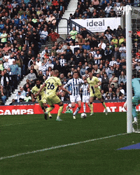 West Brom Football GIF by West Bromwich Albion