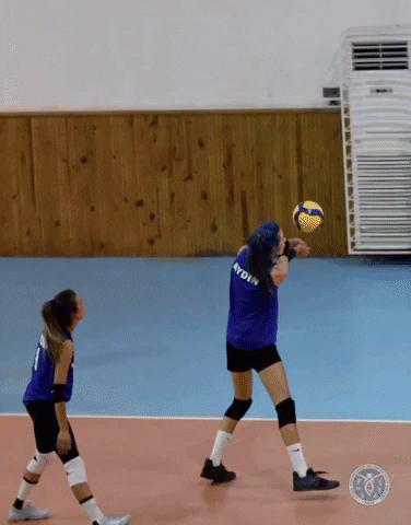 Volleyball Volley GIF by Aydın Büyükşehir Belediyespor