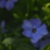 LearnerCircle day goodmorning learnercircle morningquotes GIF