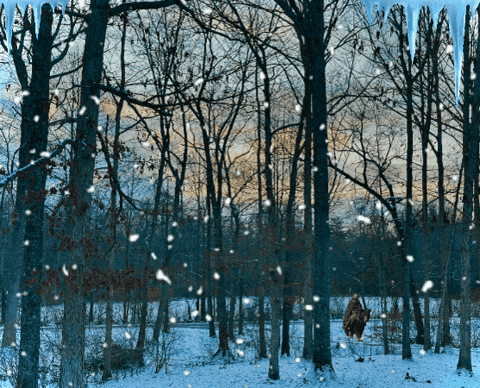 baroowoofr giphygifmaker giphyattribution GIF