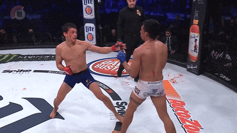 GIF by Bellator