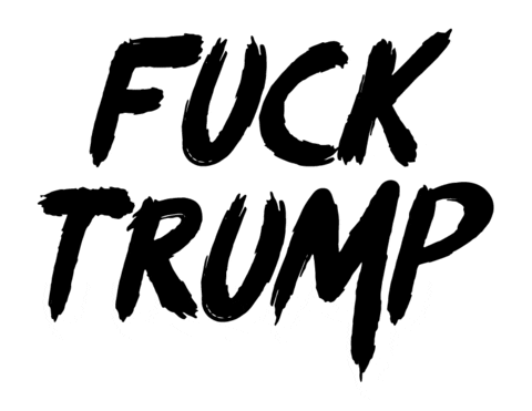 alexkayvisuals giphyupload trump usa america Sticker