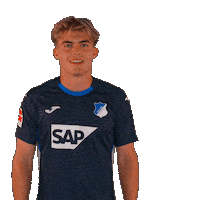 Sport Bundesliga Sticker by TSG Hoffenheim