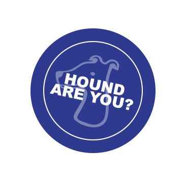 smileyhound how are you hound greyhound howareyou Sticker